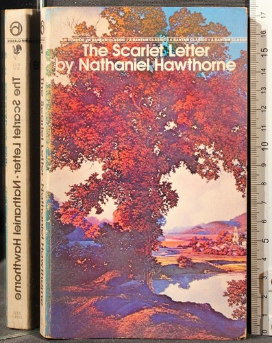 The scarlet letter nathaniel - letter.,