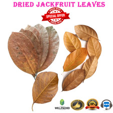 Foglie di Jackfruit Secche