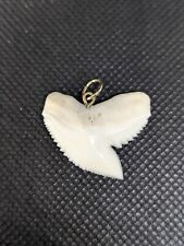 dente di squalo tigre