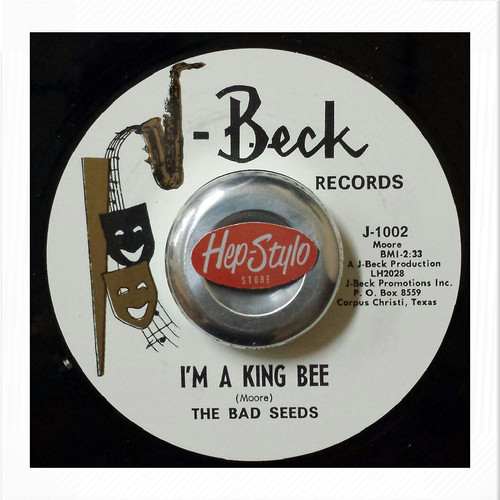 45re the bad seeds m - seeds✦"i'm, a