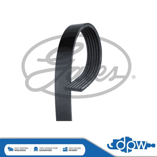 Cinture gates adatte a - cinture,