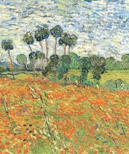 Raven Biology Of Plants - Ray