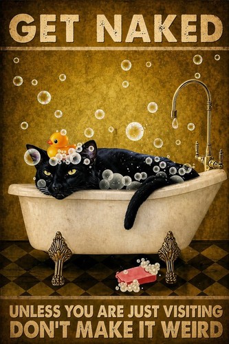 Divertente gatto nudito bagno - nudito,