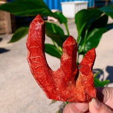 57G Corallo morbido rosso