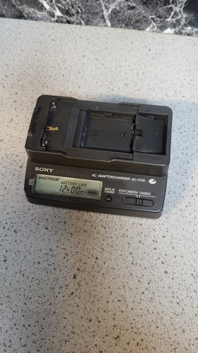 Caricabatterie videocamera - caricabatterie,