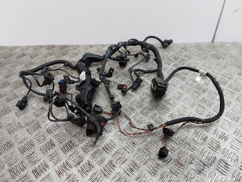Cablaggio telaio motore - , mini