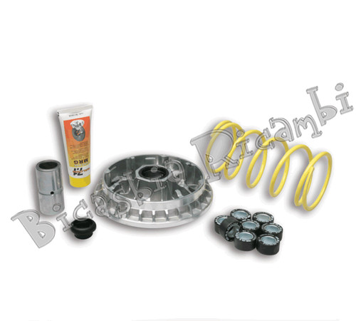 5053 variatore malossi - 5053,