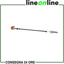 Potatore a scoppio telescopico