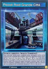 Piccoli Roid Grande Città -