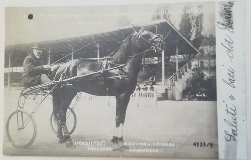 Cartolina gran premio trotto - cartolina,