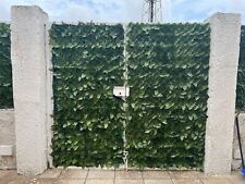 Ringhiere e cancelli in ferro bianchi