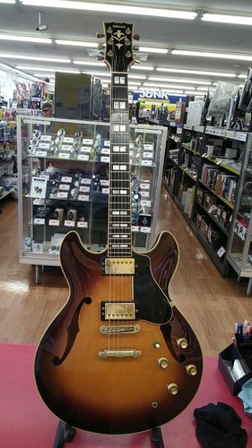Chitarra elettrica