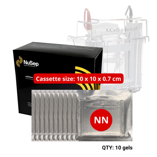 Tris glycine gel prefabbricato - tris-glycine,