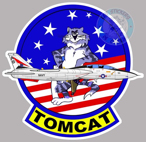 Grumman tomcat - grumman, f14