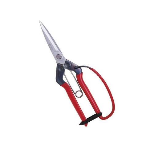 Chikamasa 710gdx pruning - t-710gdx,
