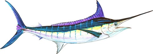 Adesivo decalcomania vinile