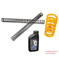 Andreani Mono Spring Kit