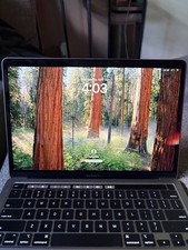 Chip Mac Book Pro M1 8 GB Ram