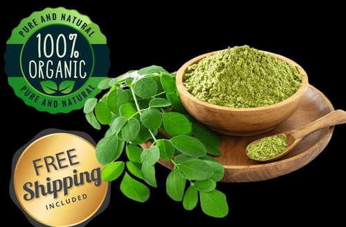Foglie moringa oleifera - moringa,