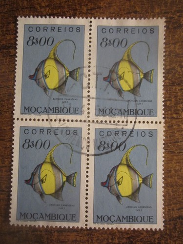 Blocco pesci mozambico 1951 - blocco,