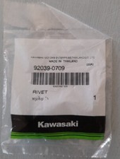 Kawasaki Rivetto carene