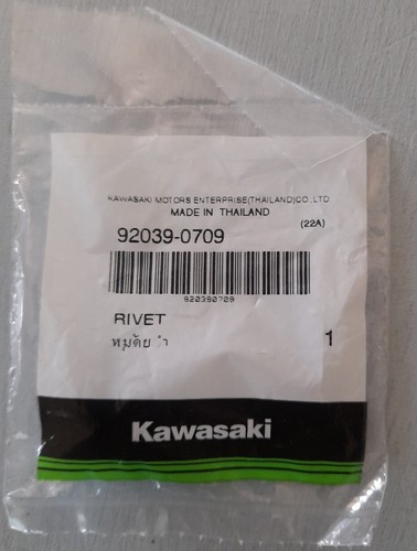 Kawasaki rivetto carene - kawasaki,