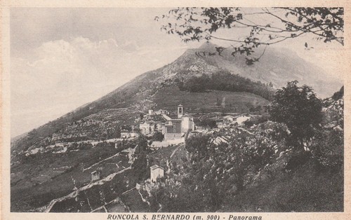 Roncola bernardo - roncola, s.