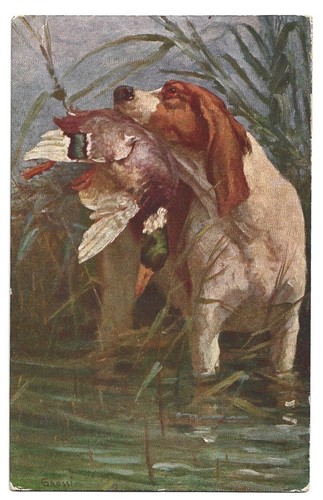 Antica cartolina animali - cartolina, cane