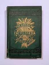 1881 The American
