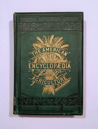 1881 the american - 1881,