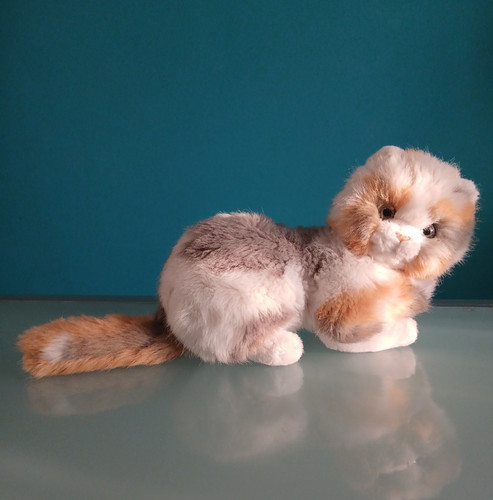Trudi ritratti peluche - "trudi",