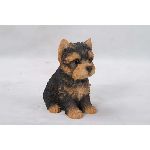 Cucciolo yorkshire terrier - cucciolo,