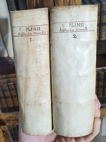 Caius plinius secundus - secundus, dit
