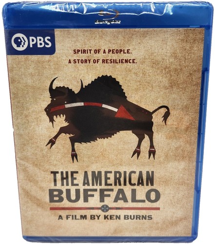 The american buffalo - buffalo, film