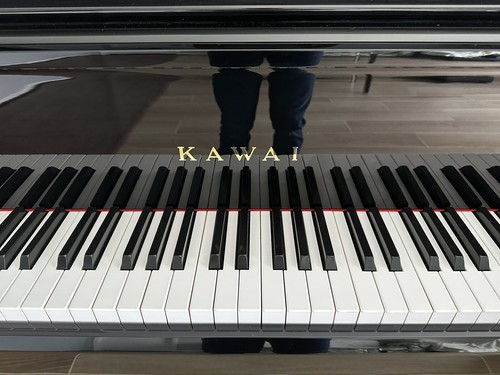 Kawai professional upright - upright, for