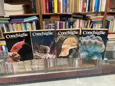 Conchiglie di tutti i mari -