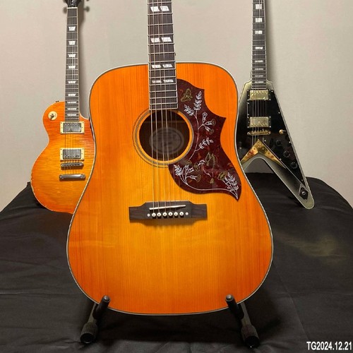 Chitarra acustica hummbird - chitarra,