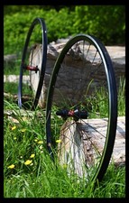 Cerchi HANDBUILT DT Swiss 240