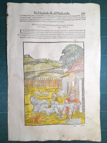Mattioli matthioli erbario - mattioli,