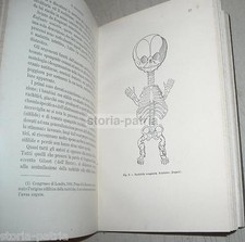 MEDICINE_ORTHOPEDICS_BONES_RAC