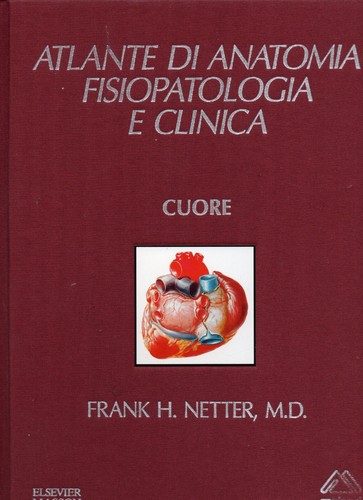 Atlante anatomia - atlante,