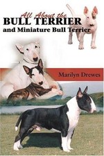 All About the Bull Terriers