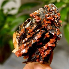 Vanadinite naturale 38G su barite grappolo cristallo esemplare minerale dal Marocco