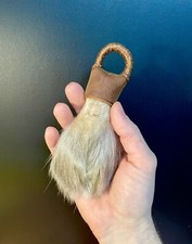 Taxidermy, Cabinet De