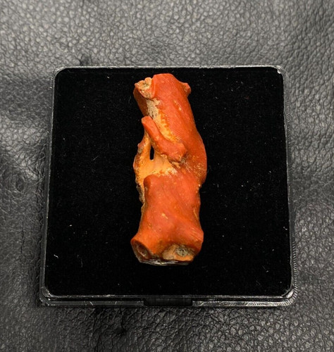 Corallo rosso qualità aa - corallo,