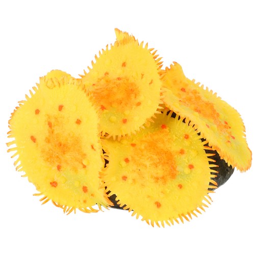 Acquario pesciera accessori - acquario,