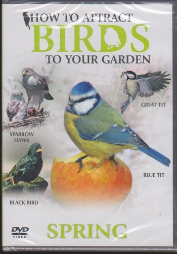 How attract birds - to,