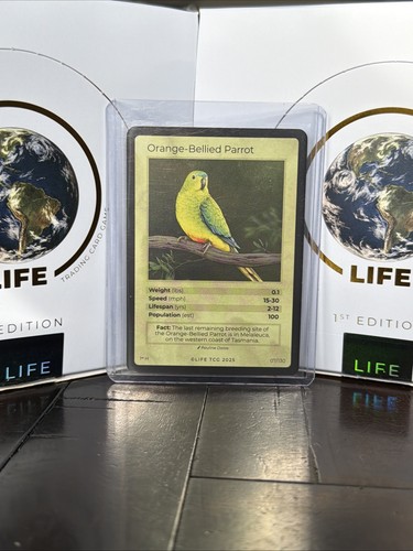 Life tcg pappagallo olografico - life,