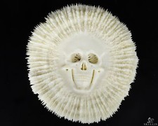 Scultura fine arte teschio