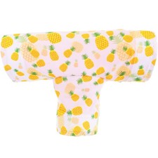  Tunnel Per Porcellini D'india